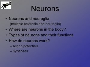 Neurons Neurons and neuroglia multiple sclerosis and neuroglia