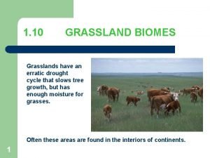 1 10 GRASSLAND BIOMES Grasslands have an erratic