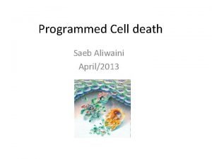 Programmed Cell death Saeb Aliwaini April2013 Introduction Human