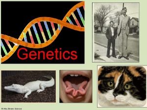Genetics Amy Brown Science the science that studies
