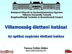 Budapesti Mszaki s Gazdasgtudomnyi Egyetem Villamos Energetika Tanszk