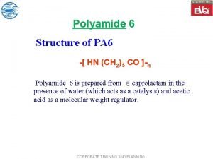 Polyamide 6 structure