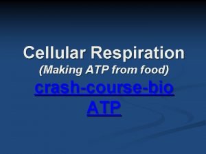 Cellular Respiration Making ATP from food crashcoursebio ATP