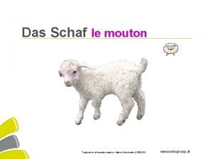 Das Schaf le mouton www edugroup at Education