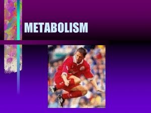 METABOLISM The concept of metabolism Metabolism all the