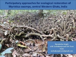 Ecosystem restoration in kannada