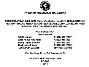 PROGRAM KREATIVITAS MAHASISWA PENGEMBANGAN ILES ILES Amorphophallus muellleri