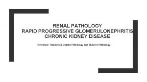 RENAL PATHOLOGY RAPID PROGRESSIVE GLOMERULONEPHRITIS CHRONIC KIDNEY DISEASE