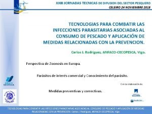 XXIII JORNADAS TECNICAS DE DIFUSION DEL SECTOR PESQUERO