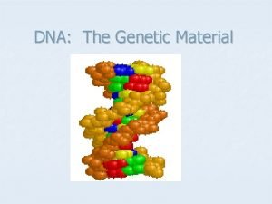 DNA The Genetic Material Identifying the Genetic Material
