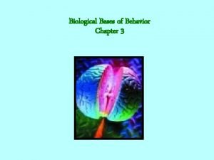 Biological Bases of Behavior Chapter 3 Whats In