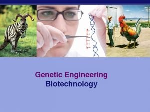 Genetic Engineering Biotechnology What is Genetic Engineering The