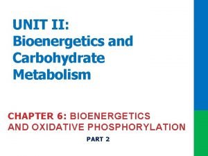 UNIT II Bioenergetics and Carbohydrate Metabolism CHAPTER 6