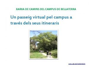 XARXA DE CAMINS DEL CAMPUS DE BELLATERRA Un