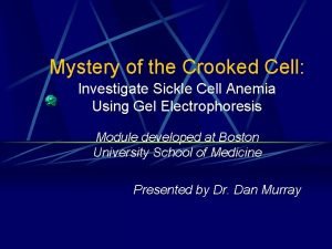 Mystery of the Crooked Cell Investigate Sickle Cell