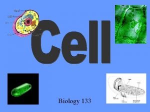 Biology 133 Cell Parts and Functions Cell Membrane