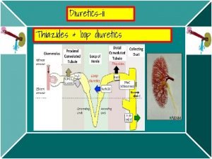 Diureticsii Thiazides loop diuretics Thiazide diuretics NaCl SYMPORT