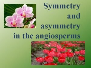 Symmetry and asymmetry in the angiosperms Angiosperm from