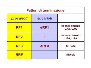 Fattori di terminazione procarioti eucarioti RF 1 e