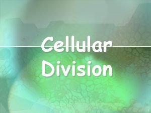 Cellular Division 1 Cell Division All cells are