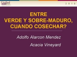 ENTRE VERDE Y SOBREMADURO CUANDO COSECHAR Adolfo Alarcon