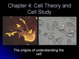 Chapter 4 cell theory and cell study