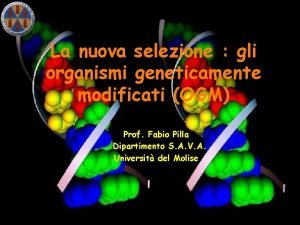 La nuova selezione gli organismi geneticamente modificati OGM