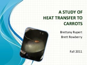 A STUDY OF HEAT TRANSFER TO CARROTS Brettany