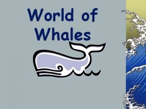 Enchanted learning whales