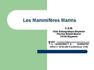 Les Mammifres Marins C S M Club Subaquatique