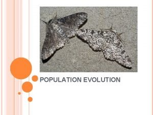 Individuals don't evolve populations do