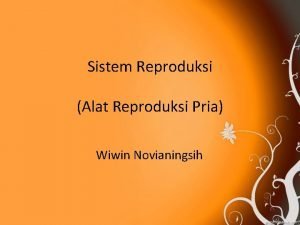 Sistem Reproduksi Alat Reproduksi Pria Wiwin Novianingsih Standar