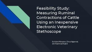 Feasibility Study Measuring Ruminal Contractions of Cattle Using