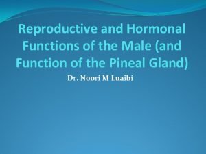 Reproductive and Hormonal Functions of the Male and