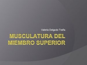 Valeria Delgado Traa MUSCULATURA DEL MIEMBRO SUPERIOR Msculos