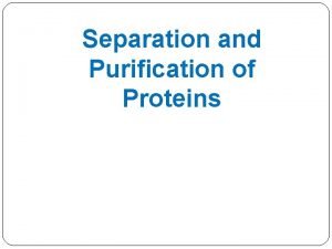 Separation and Purification of Proteins Protein Fractionation Definition