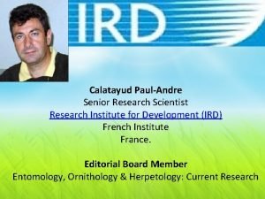 Calatayud PaulAndre Senior Research Scientist Research Institute for