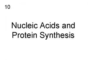 10 Nucleic Acids and Protein Synthesis Nucleic acids