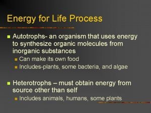 Energy for Life Process n Autotrophs an organism