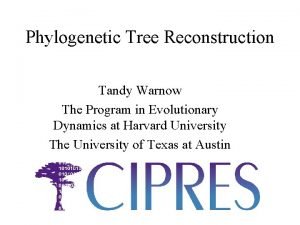 Phylogenetic Tree Reconstruction Tandy Warnow The Program in