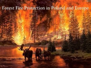 Forest Fire Protection in Poland Europe Forests occupy