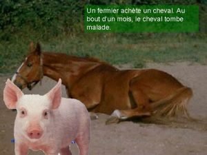 Un fermier achte un cheval Au bout dun