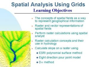 Spatial Analysis Using Grids Learning Objectives n n