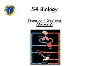 S 4 Biology Transport Systems Animals Learning Intentions