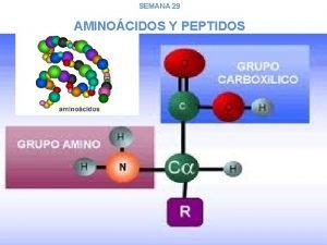 SEMANA 29 AMINOCIDOS Y PEPTIDOS ALFA AMINOCIDOS Son