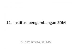 14 Institusi pengembangan SDM Dr SRY ROSITA SE