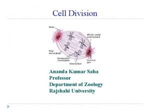 Cell Division Ananda Kumar Saha Professor Department of