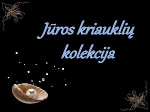 Jros kriaukli kolekcija Seila crocea Scalptia textilis Hemilienardia