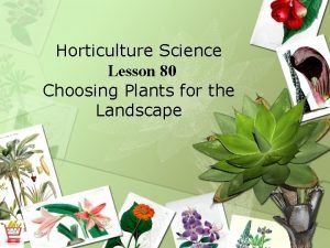 Horticulture Science Lesson 80 Choosing Plants for the