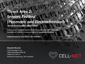 Thrust Area 2 Sensors Testbed Plasmonic and Electrochemical